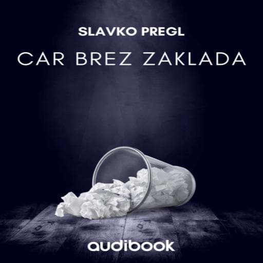 book cover for Car brez zaklada