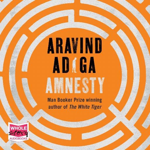 book cover for Amnesty