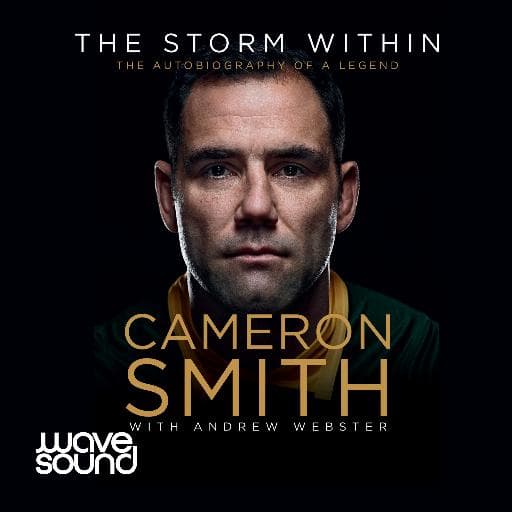 book cover for The Storm Within