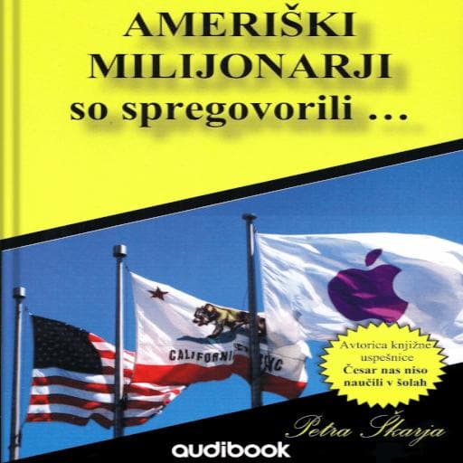 book cover for Ameriški milijonarji so spregovorili